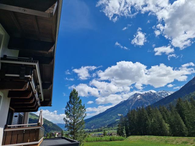 Aussicht vom Ferienhaus [Sommer]