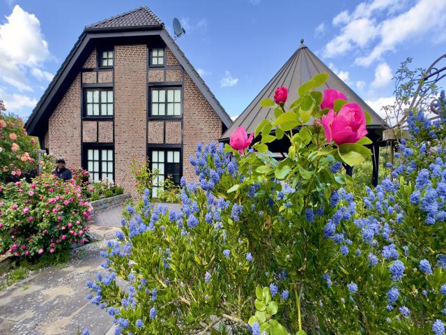 Ambiente / Nahaufnahme