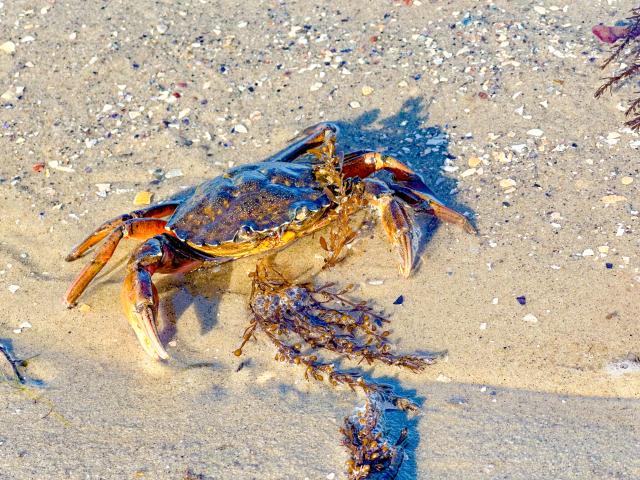 Direkte Umgebung (<1 km)