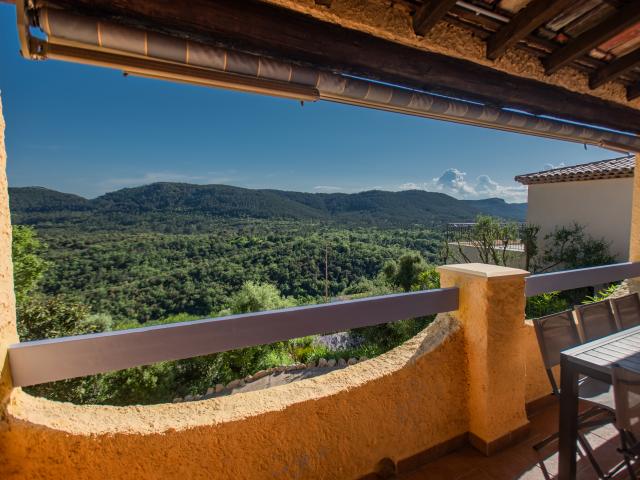 Aussicht vom Ferienhaus [Sommer]