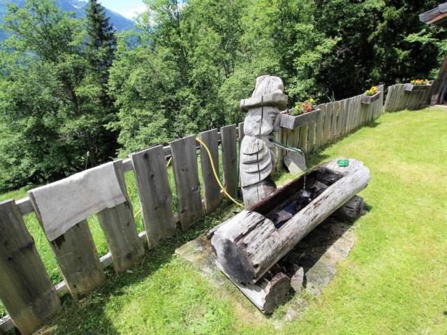 Ambiente / Nahaufnahme