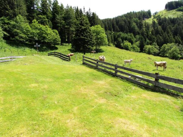 Direkte Umgebung [Sommer] (<1 km)