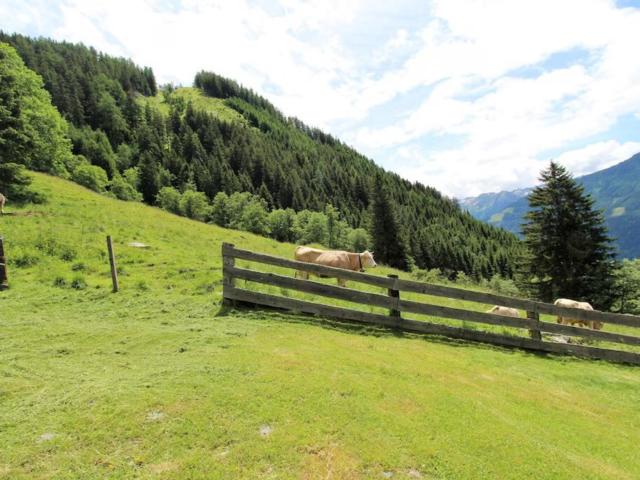 Direkte Umgebung [Sommer] (<1 km)