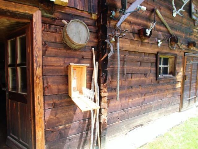 Ambiente / Nahaufnahme