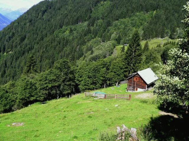 Direkte Umgebung [Sommer] (<1 km)