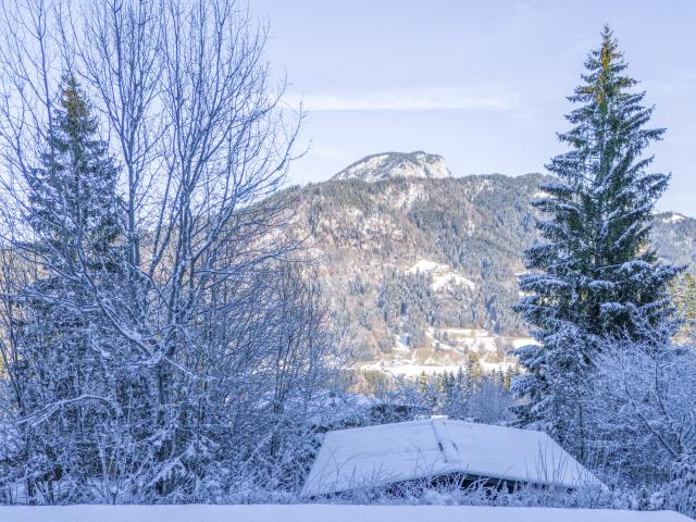 Directe omgeving (<1 km)