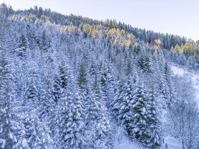 Directe omgeving (<1 km)