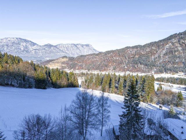 Directe omgeving (<1 km)