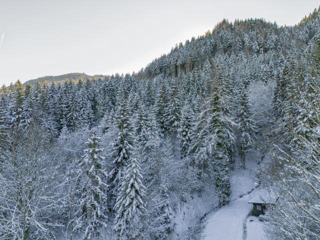 Directe omgeving (<1 km)