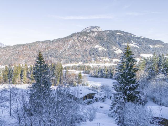 Directe omgeving (<1 km)