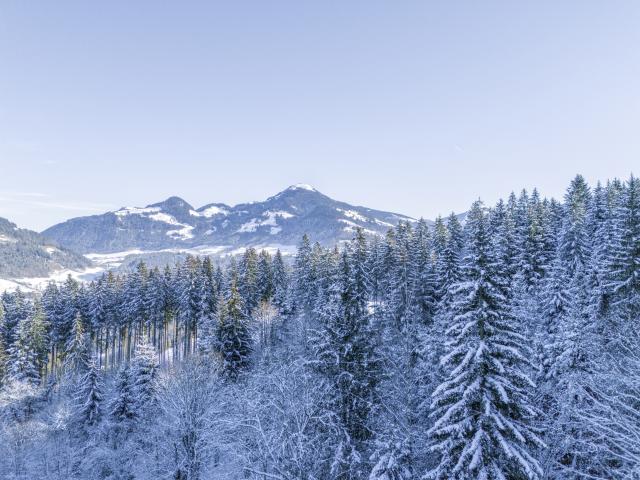 Directe omgeving (<1 km)