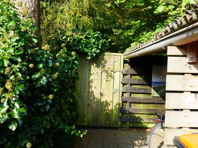 Holiday Home Facilities and Services