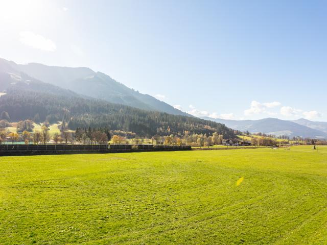 Immediate Surroundings (<1 km)