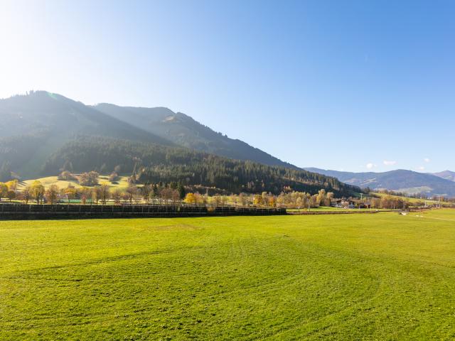 Direkte Umgebung (<1 km)