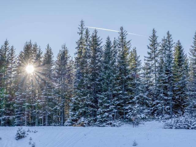 Ambiance / plan rapproché