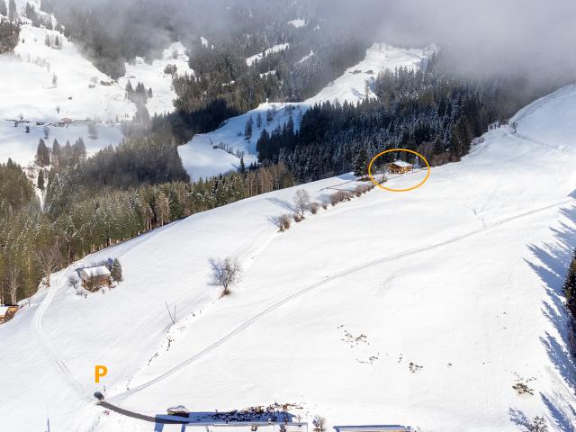 Directe omgeving (<1 km)