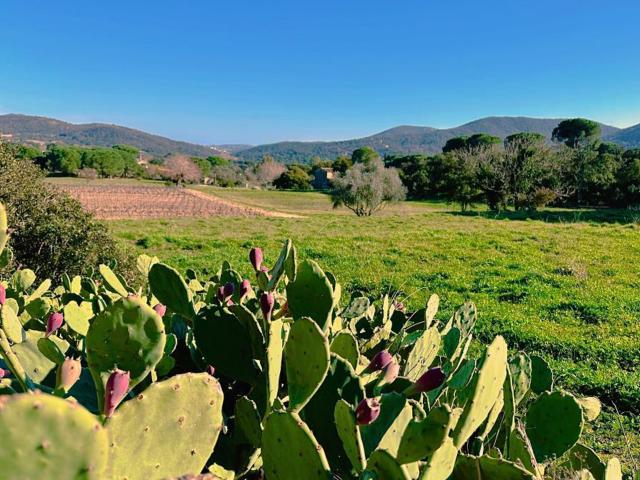 Dans les environs (1-5 km)