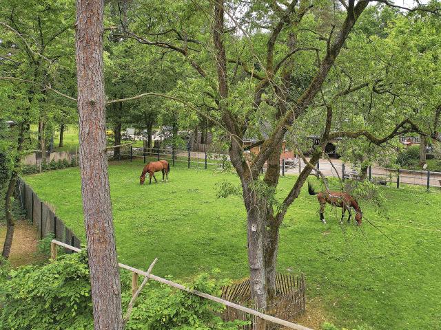 Uitzicht van vakantiehuis