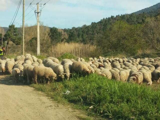 A proximité directe (<1 km)