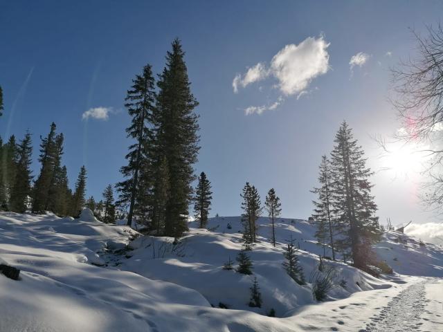 Directe omgeving (<1 km)