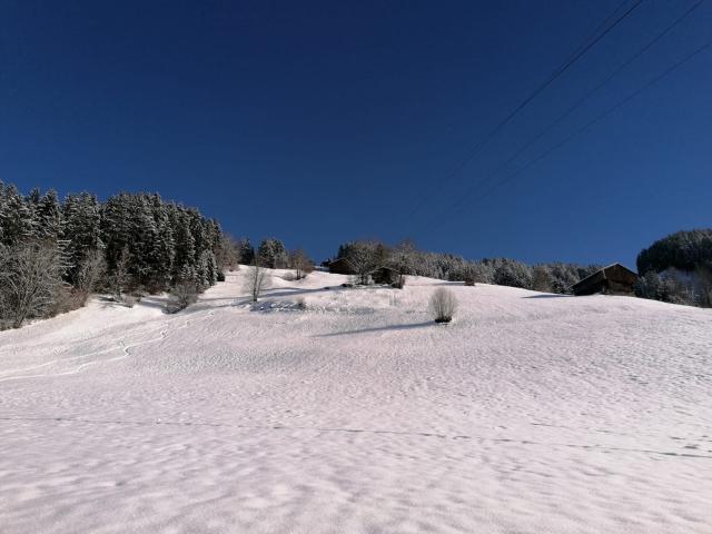 Directe omgeving (<1 km)