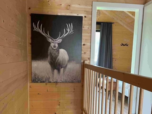 Ambiente / Nahaufnahme