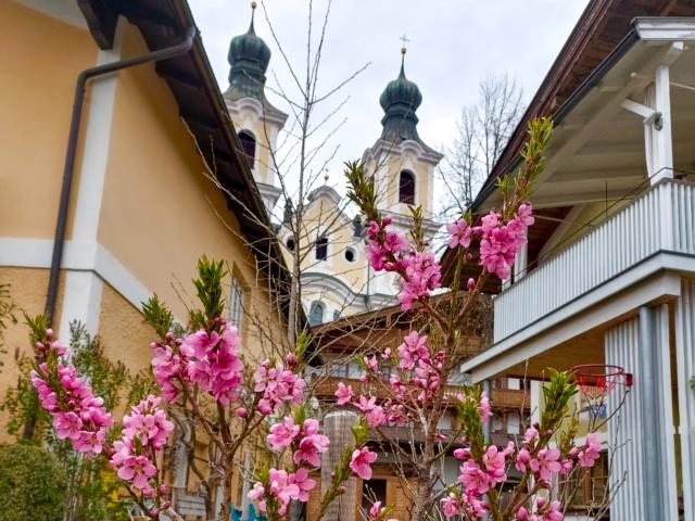 Directe omgeving (<1 km)