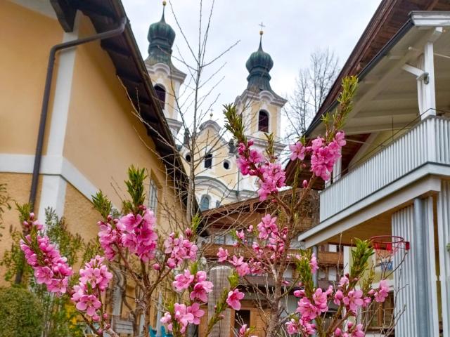 Uitzicht van vakantiehuis