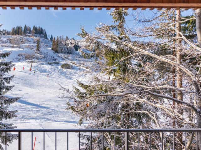 Aussicht vom Ferienhaus