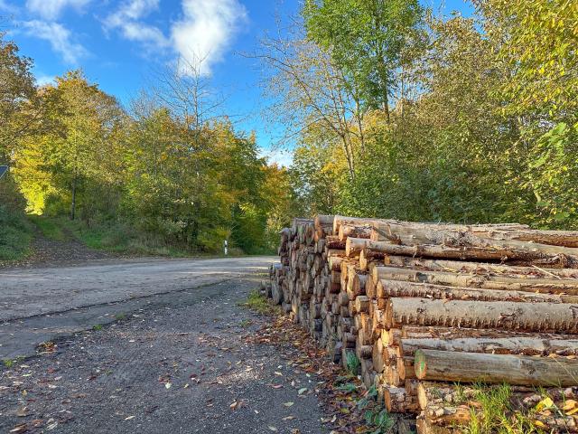 Direkte Umgebung [Sommer] (<1 km)