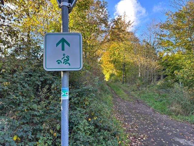 Direkte Umgebung [Sommer] (<1 km)