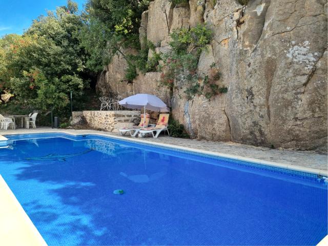 Pool des Ferienhauses