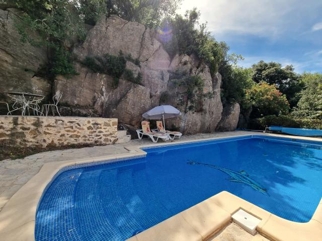 Pool des Ferienhauses