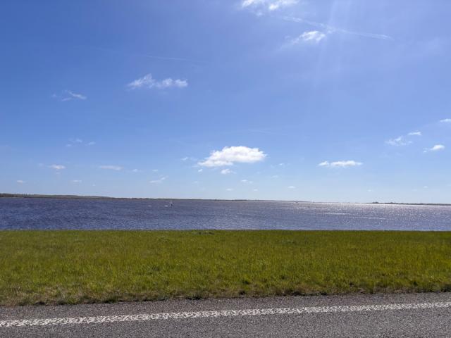 Immediate Surroundings (<1 km)