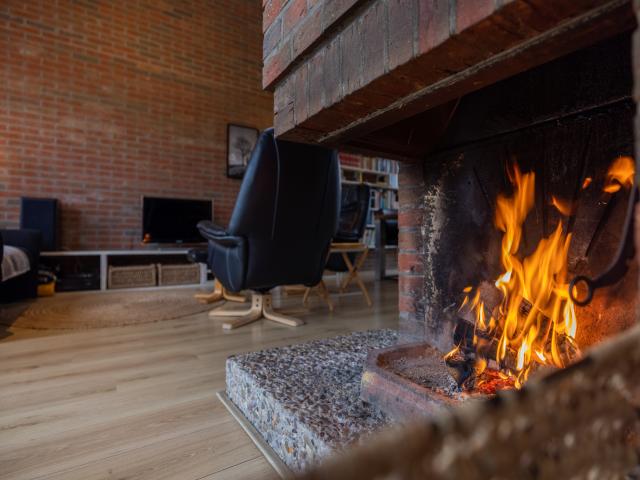 Ambiente / Nahaufnahme