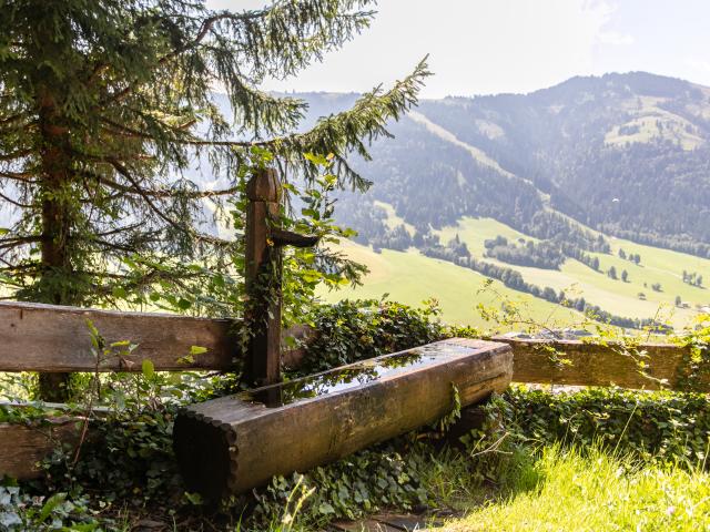 View from Holiday Home