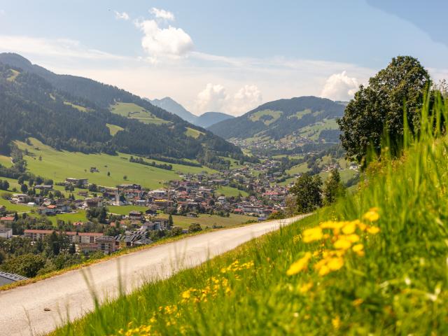 View from Holiday Home