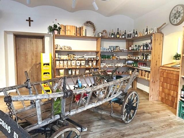 Ausstattung und Service des Ferienhauses