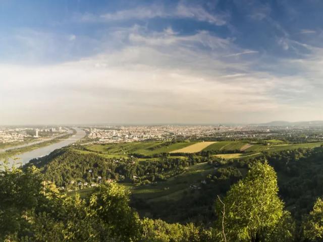 Region (>5 km)