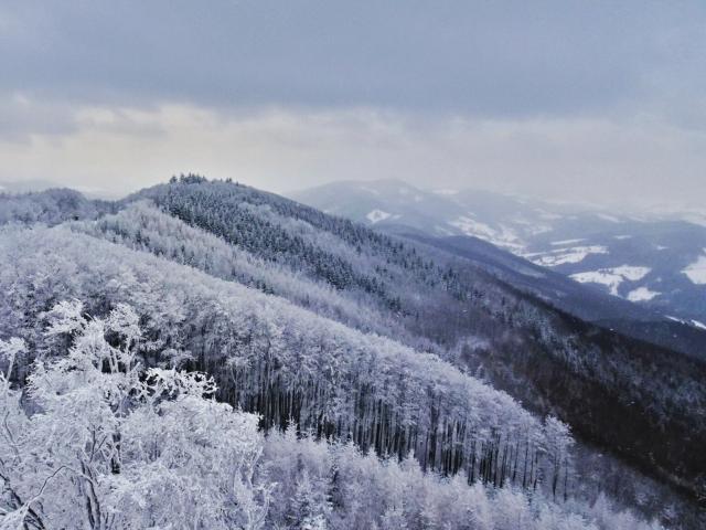 In der Region [Winter] (>5 km)