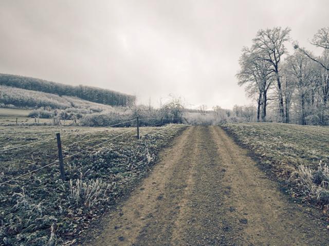 In der Region [Winter] (>5 km)