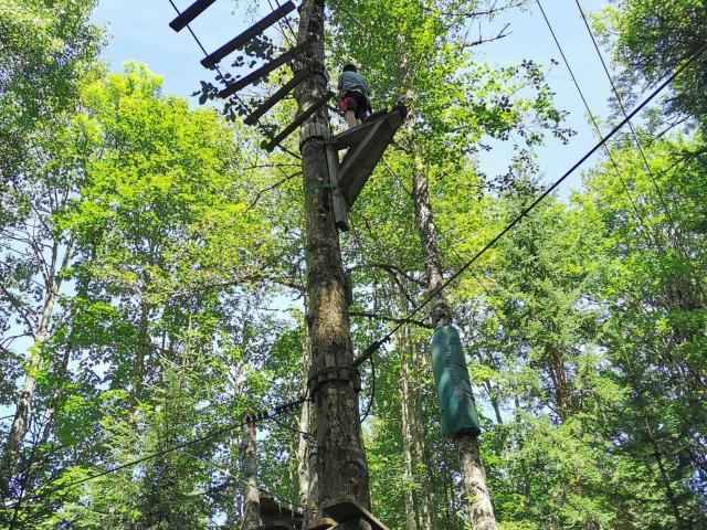 In der Region [Sommer] (>5 km)