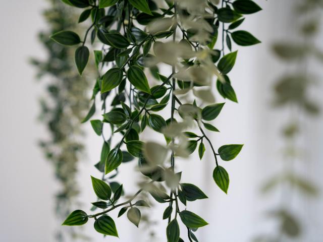 Ambiance / plan rapproché