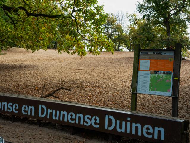 Dans les environs (1-5 km)