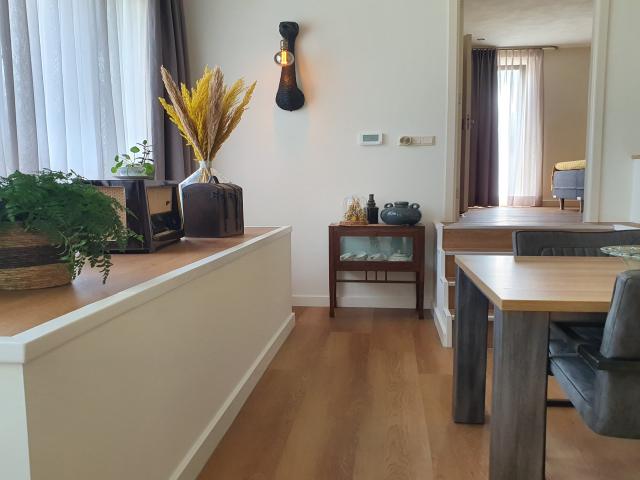 Ambiance / plan rapproché