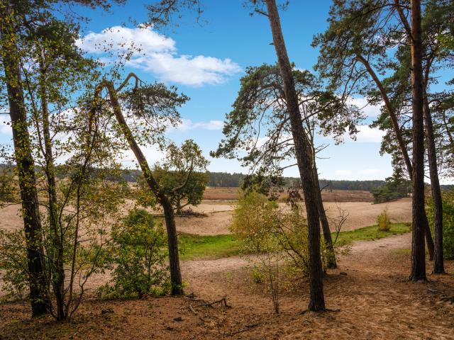 Dans les environs (1-5 km)
