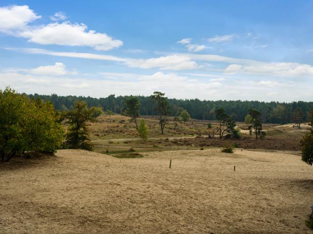 Dans les environs (1-5 km)