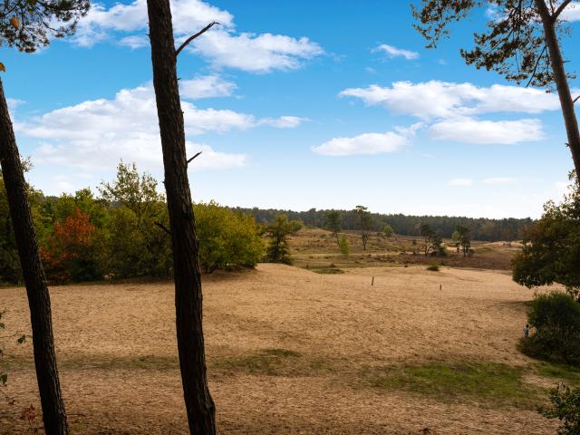 Dans les environs (1-5 km)
