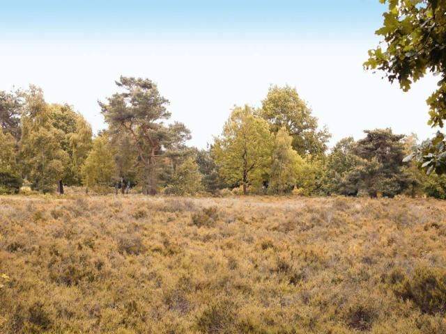 Direkte Umgebung [Sommer] (<1 km)