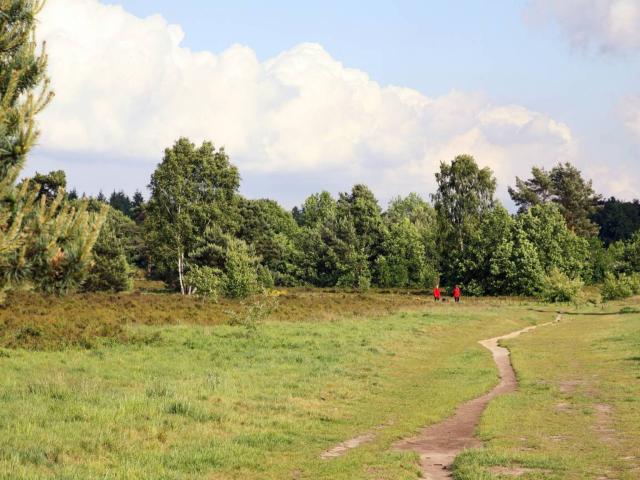 Direkte Umgebung [Sommer] (<1 km)